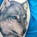 Tattoos - Diamond Wolf - 96260